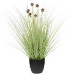 32"H POTTED ONION GRASS